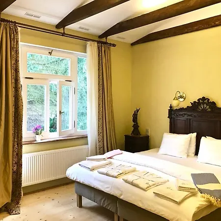 Casa de Férias Meyana Manor Tachov (Plzen)